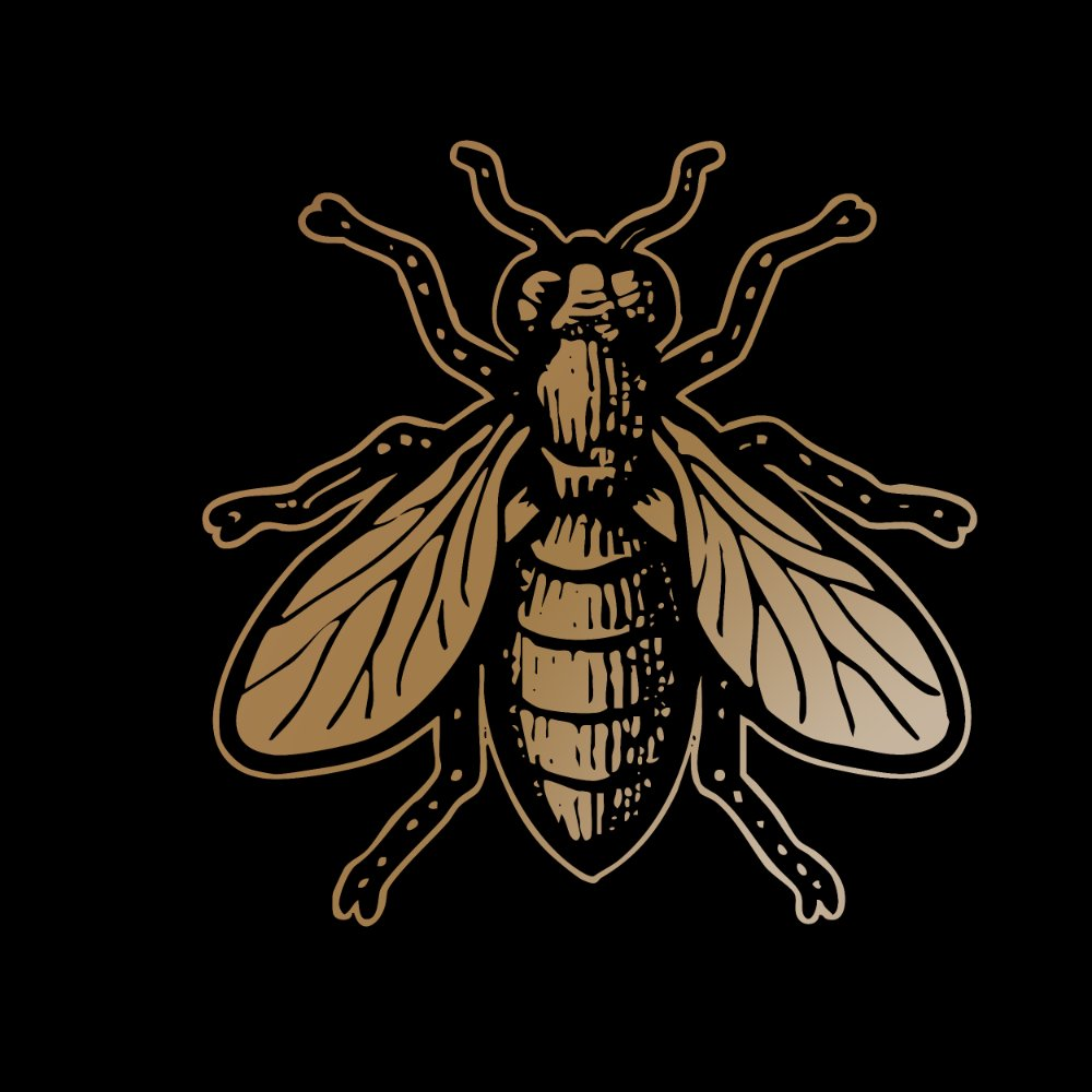 Flies suit symbol